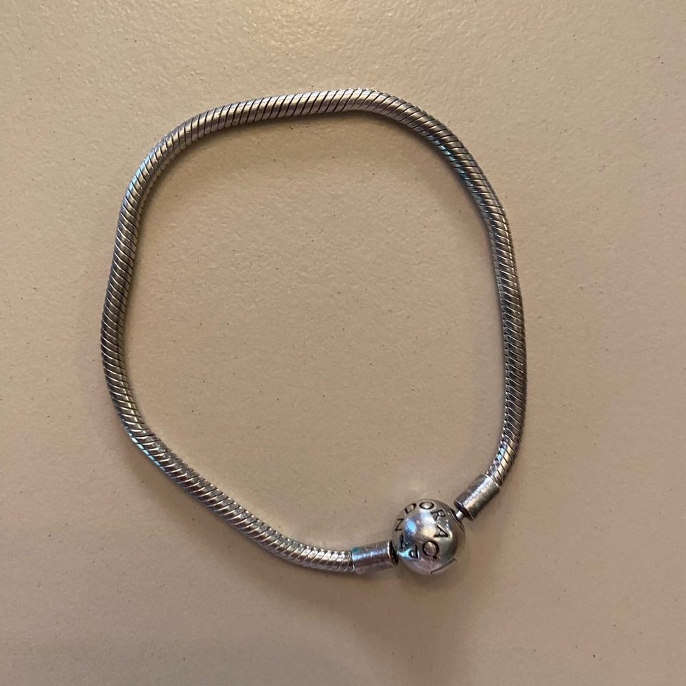Pandora Charm Bracelet